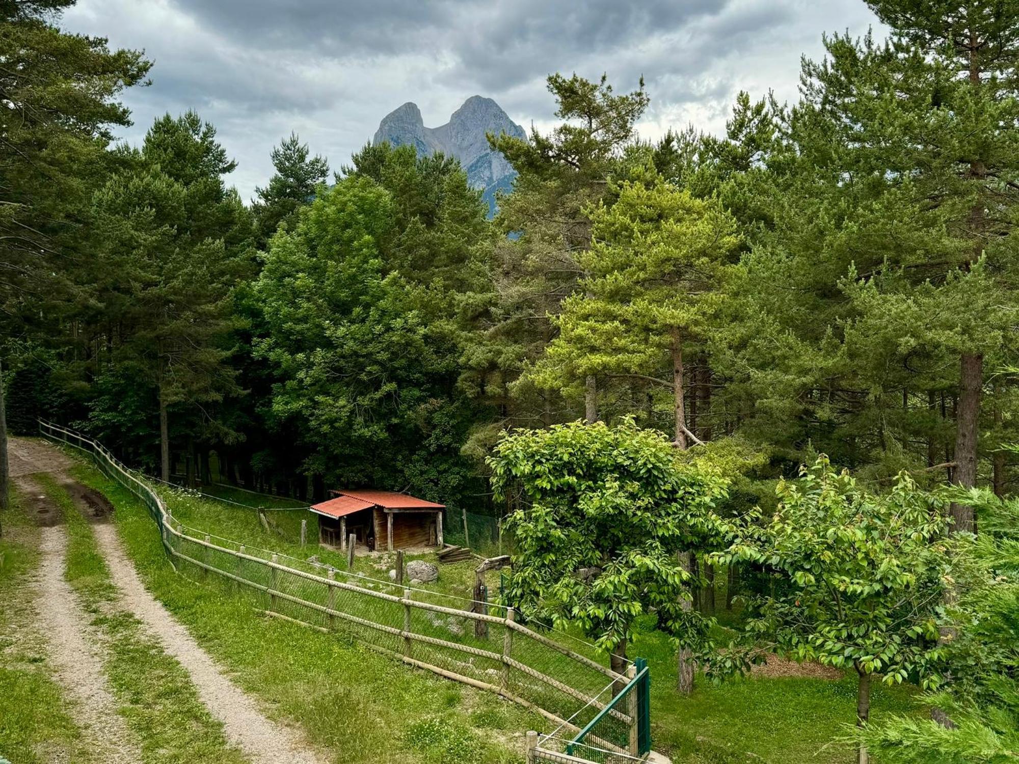 Cal Roig - Pedraforca Villa Saldés Eksteriør billede