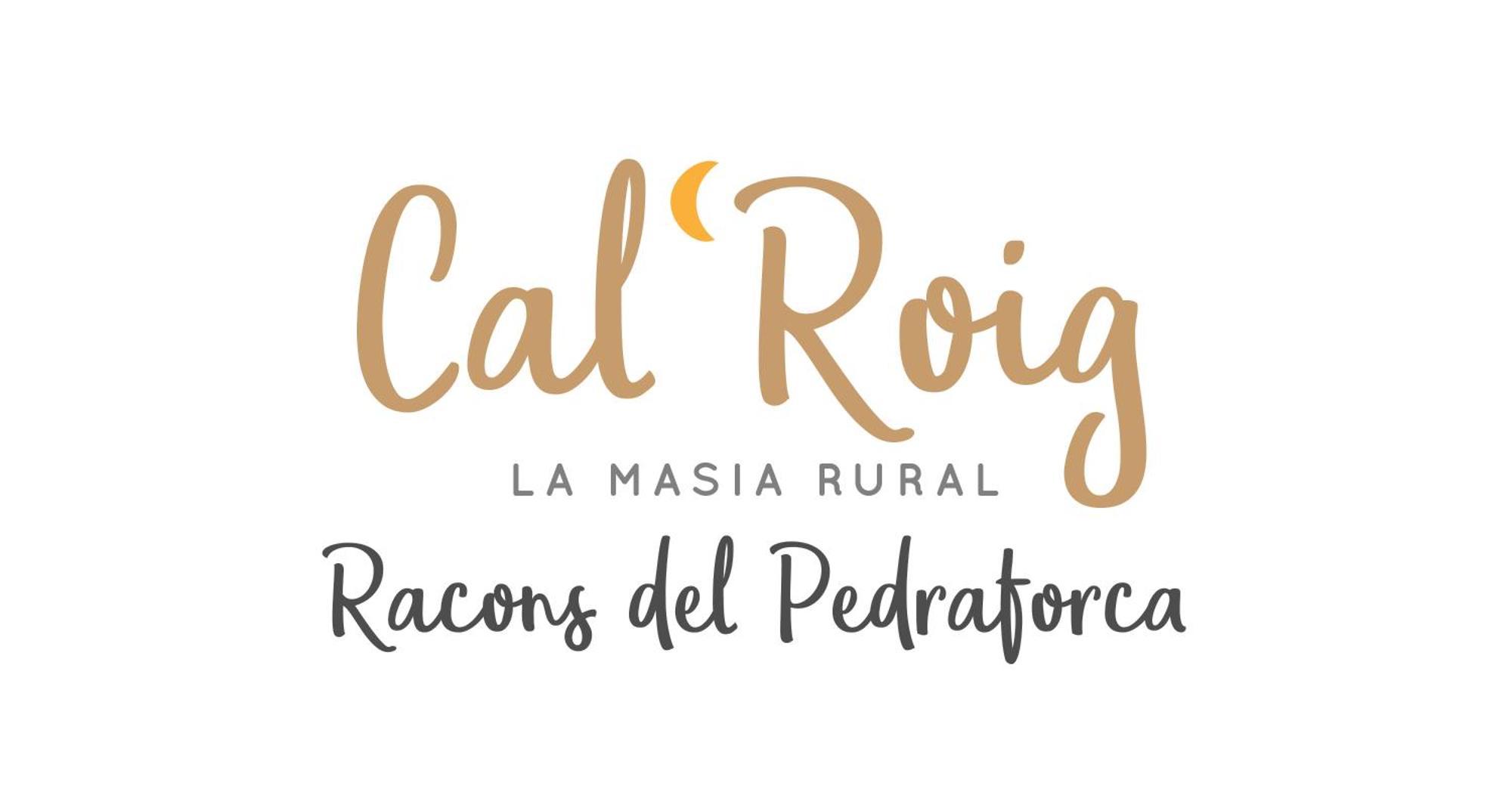 Cal Roig - Pedraforca Villa Saldés Eksteriør billede
